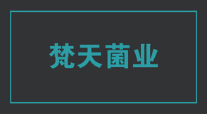 食品行业上饶工作服设计款式